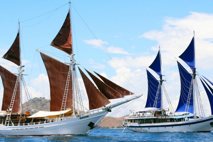 Private Tour Live On Board Sailing Trip To Komodo 3 Day 2 Night